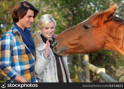 a couple and a horse asking for caress