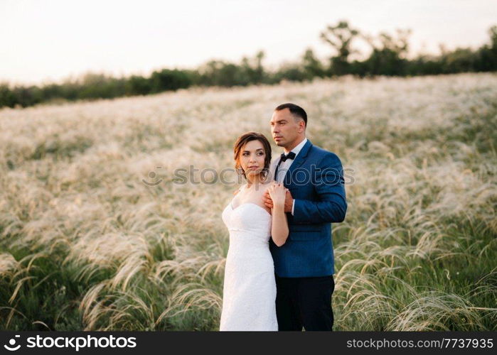 A couple in love a guy and a girl on a walk in the forest belt