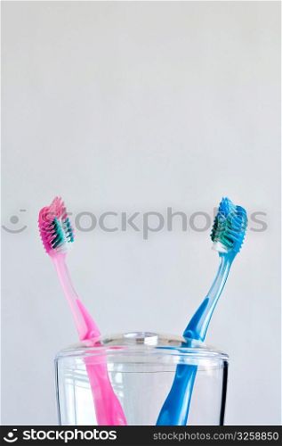 A couple of pink and blue toothbrushes in toothbrush holder.