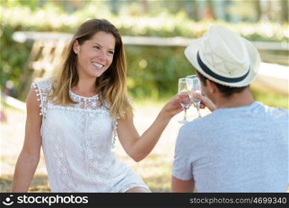 a couple toasting during picnic