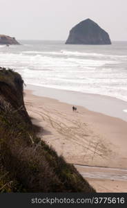 A couple walks the dog along the Pacific Ocean of the West Coast