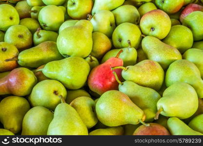 A crate filled with freshly picked Rosemary Pears for the market.