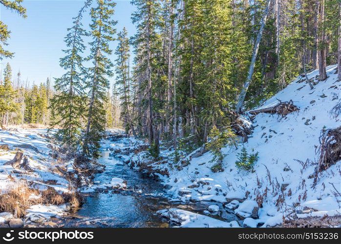 A creek surrounded in snow in Medicine Bow National Forest