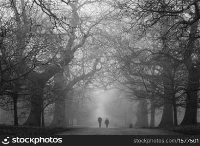 A creepy dark park with two people in the distance shot in black and white. A creepy dark park with two people in the distance