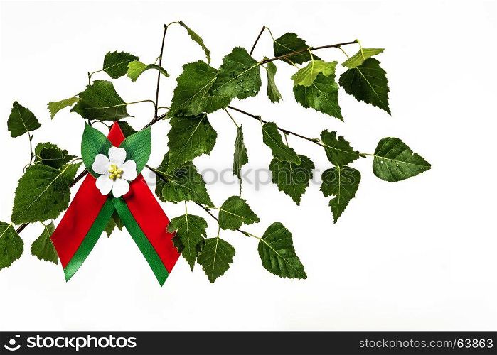 A crocheted green ribbon with an apple-tree color on a birch branch with green leaves on a white background