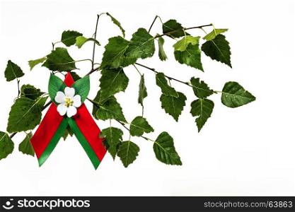 A crocheted green ribbon with an apple-tree color on a birch branch with green leaves on a white background