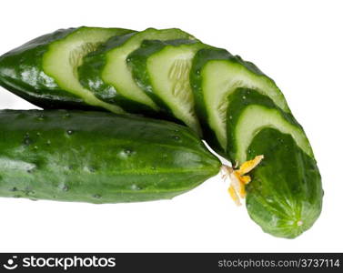 A cucumber and sliced ??isolated on white background