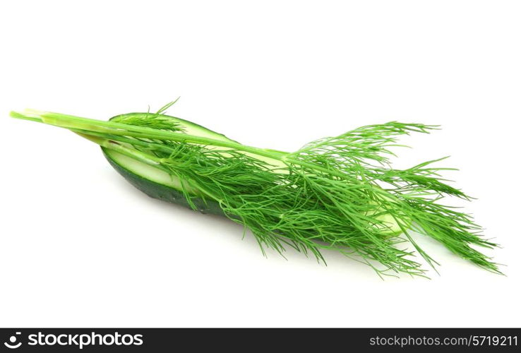 a cucumber with the cut half lying on a dill