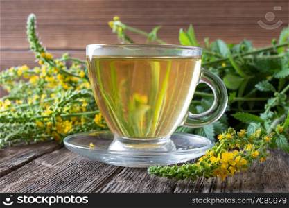 A cup of herbal tea with fresh agrimony flowers