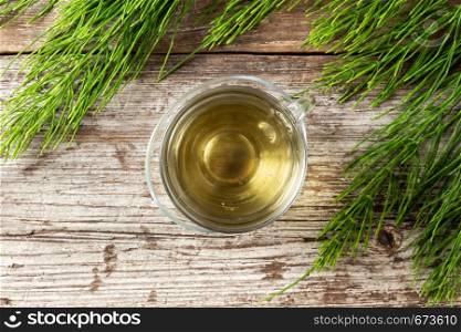 A cup of herbal tea with fresh horsetail twigs, top view