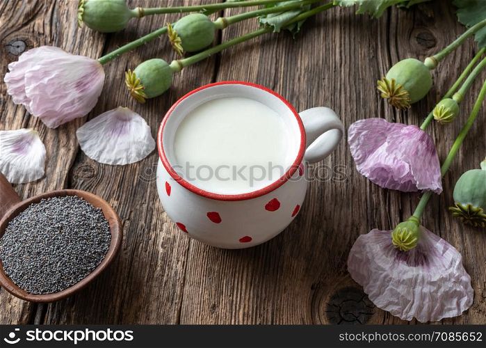 A cup of vegan milk made from ripe poppy seeds, with fresh plant in the background
