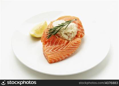 A cut of raw salmon on a plate