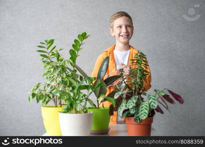 A cute boy in a shirt is studying indoor green plants, caring for flowers. Water pitcher for flowers. A cute boy in a shirt is studying indoor green plants, caring for flowers. Help Mother