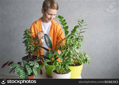 A cute boy in a shirt is studying indoor green plants, caring for flowers.. A cute boy in a shirt is studying indoor green plants, caring for flowers. Jug of water