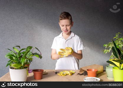 A cute boy takes care of indoor flowers, prepares a tool for the soil, fertilize the soil. Cute boy puts on fabric gloves and prepares to transplant houseplants