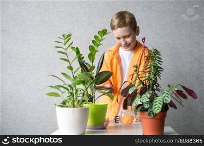 A cute boy takes care of indoor green plants. Checks soil moisture level. A cute boy takes care of indoor plants. Checks soil moisture level