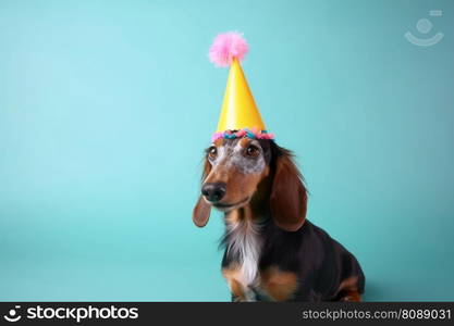 A cute dog with a party hat and party glitter created with generative AI technology