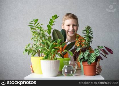 A cute happy agronomist boy in a shirt stands with indoor plants. Flower care. A cute happy boy, an agronomist, is standing near a table with indoor plants. Be proud of the result