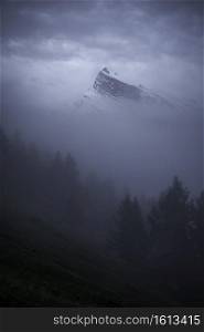 A dark, gloomy morning looking out across a fog shrouded Banff towards Mount Rundle at blue hour.