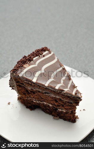 A delicious slice of chocolate cake in a white plate