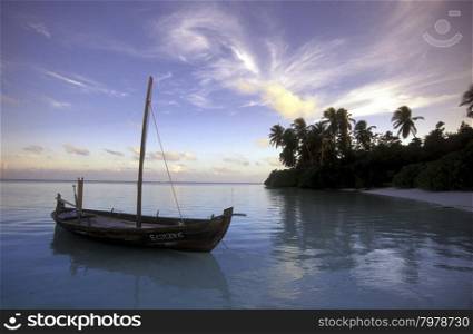 a dhoni Boat on the coast of the island and atoll of the Maldives Islands in the indian ocean.. ASIA INDIAN OCEAN MALDIVES DHONI BOAT