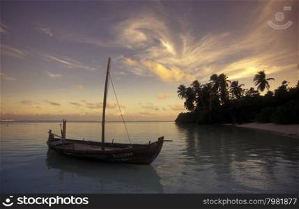 a dhoni Boat on the coast of the island and atoll of the Maldives Islands in the indian ocean.. ASIA INDIAN OCEAN MALDIVES DHONI BOAT
