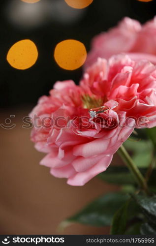 A diamond engagement ring in the petals of a beautiful pink-colored rose on bokeh background. Marriage proposal. Wedding.. A diamond engagement ring in the petals of a beautiful pink-colored rose on bokeh background. Marriage proposal. Wedding