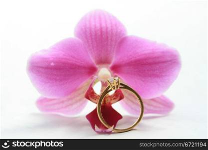 A diamond solitaire engagement ring with a pink orchid