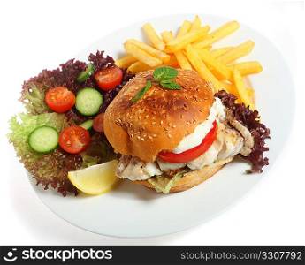 A dinner of a fish fillet in a burger bun, on lettuce and topped with tomato and a creamy sauce, all served with french fries and a salad.