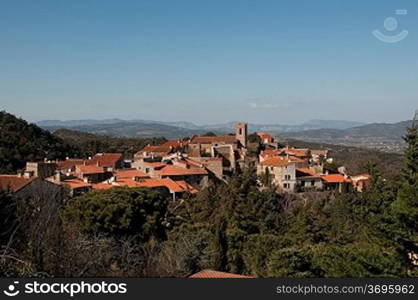 A distant view of a town surrounded by trees