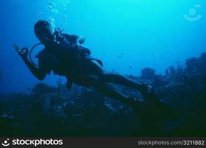 A diver is seen above a coral reef in blue waters, Jamaica