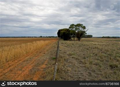 A dividing fence on a farm in South-West New South Wales, Australia