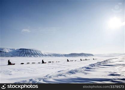 A dog sled expedition across a barren winter landscape