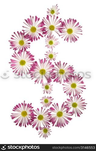 A Dollar Sign Made Of Pink And White Daisies