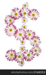 A Dollar Sign Made Of Pink And White Daisies