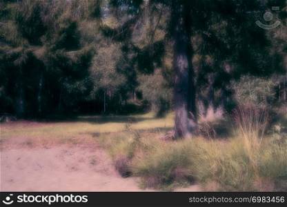 A dreamy, peaceful beachfront summer scenery of sand, grass,straw, fir tree and a forest in the background, with copyspace.. A dreamy, peaceful beachfront summer scenery of sand, grass,straw, fir tree and a forest in the background, with copyspace