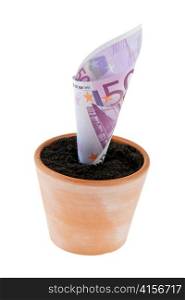 a euro bank note in flower pot. symbol rates, growth.
