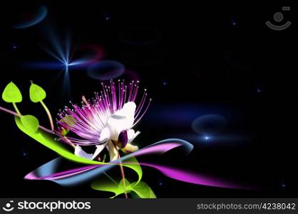 A fairy flower. A natural flower in cosmic space