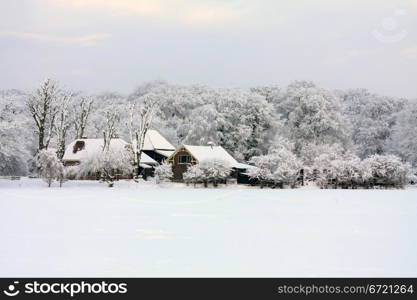 A farm in a forest, meadow covered with snow and frozen trees