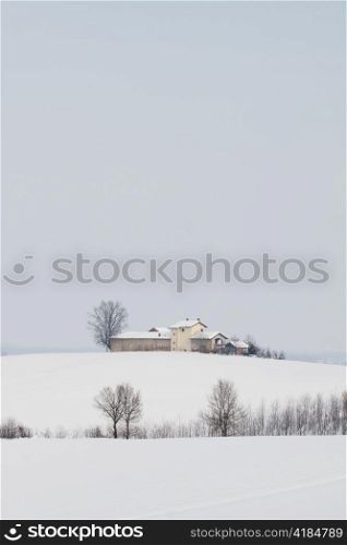 A farm with snow and winter landscape