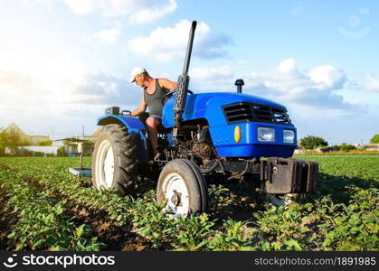 A farmer on a tractor cultivates a potato plantation. Agroindustry and agribusiness. Field work cultivation. Farm machinery. Work on the farm. Soil quality improvement. Plowing and loosening ground