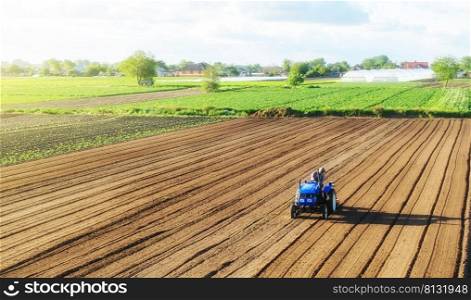 A farmer on a tractor processes a farm field. Cultivating land soil for further planting. Loosening, improving soil quality. Food production on vegetable plantations. Farming and agriculture.
