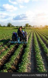 A farmer on a tractor works in the field. A farm worker tills the soil on a plantation. Agroindustry and agribusiness. Farm machinery. Crop care. Plowing and loosening ground