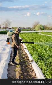 A farmer sprays a potato plantation against pests and fungi. Protection of cultivated plants from insects and fungal infections. Control of use of chemicals. Farming growing vegetables