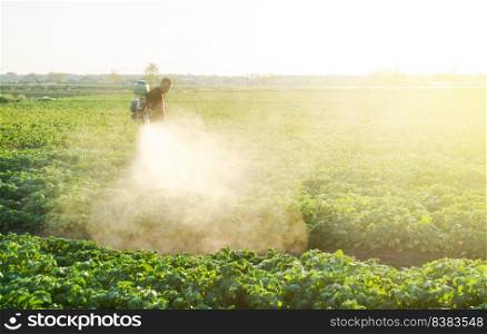 A farmer sprays a potato plantation with pesticides. Protecting against insect plants and fungal infections. Agriculture and agribusiness, agricultural industry. The use of chemicals in agriculture.