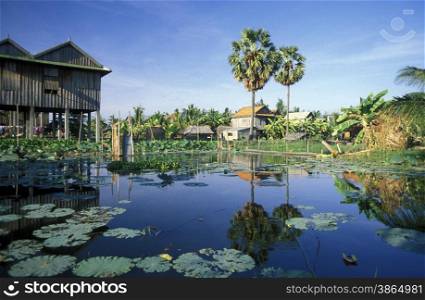 a Farmer village outside of the city of phnom penh in cambodia in southeastasia. . ASIA CAMBODIA