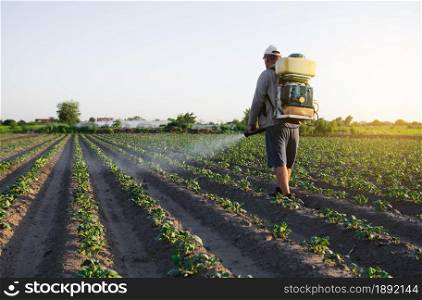 A farmer with a backpack spray sprays fungicide and pesticide on potato bushes. Protection of cultivated plants from insects and fungal infections. Use of chemicals for crop protection