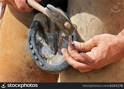 a Farrier with nail and hammer on a horses hoof, close up on the nail