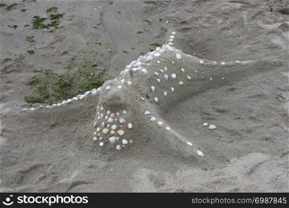 A fashion profiled seal is made of sand on the beach. Ein aus Sand modelierter Seehund liegt am Strand