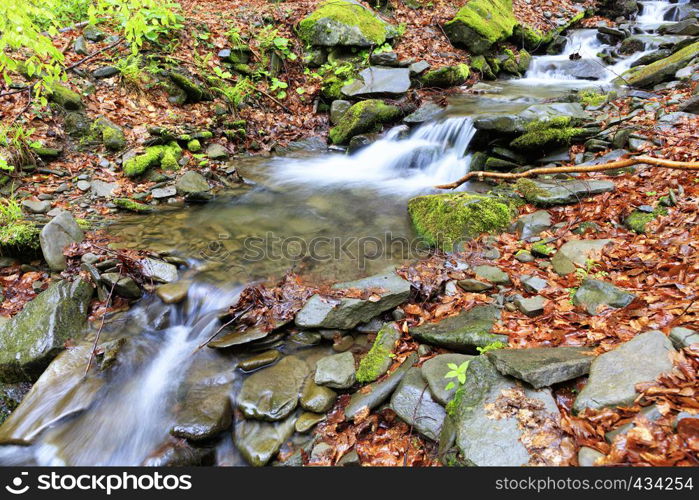 A fast mountain stream flows between stone boulders in a wild, spring wet and mysterious Carpathian forest. Mountain stream in the wild Carpathian forest in spring